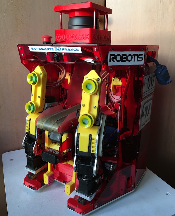 Goldorak Robot2018 2 598