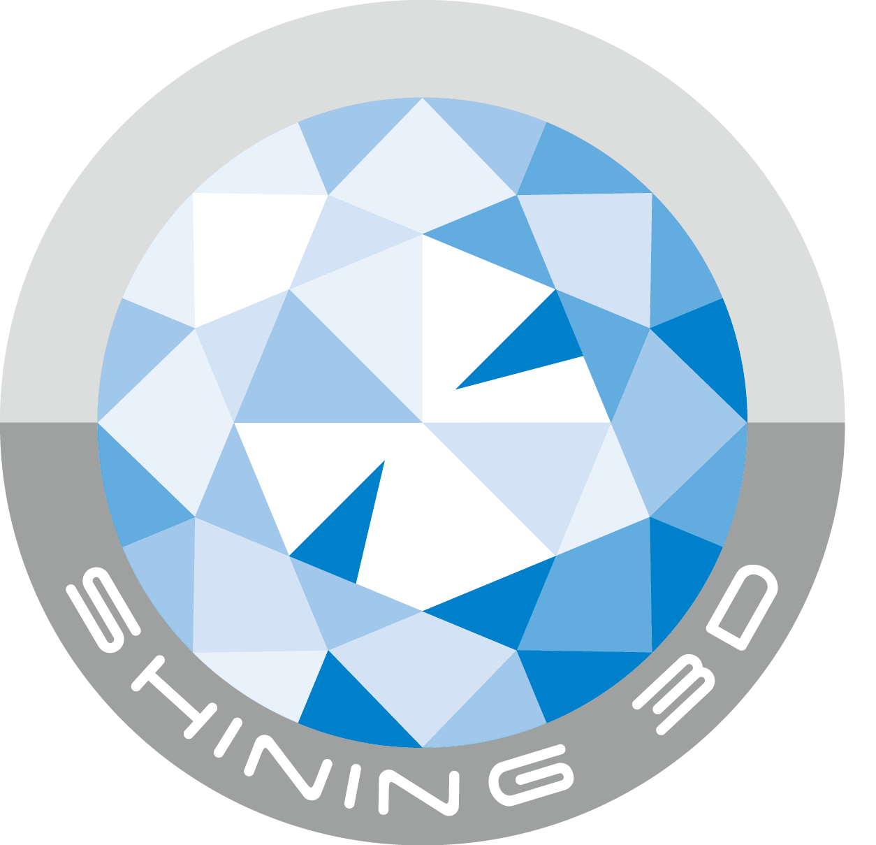 Logo Shining 3D